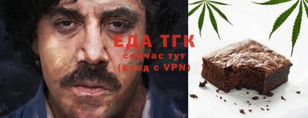 индика Семёнов